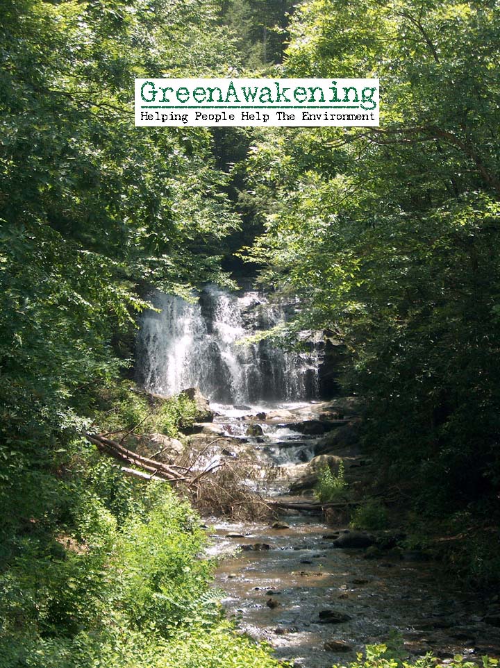 Click image to enter GreenAwakening.com